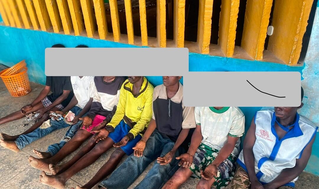 Police arrest six suspected cultists during raids in Osun