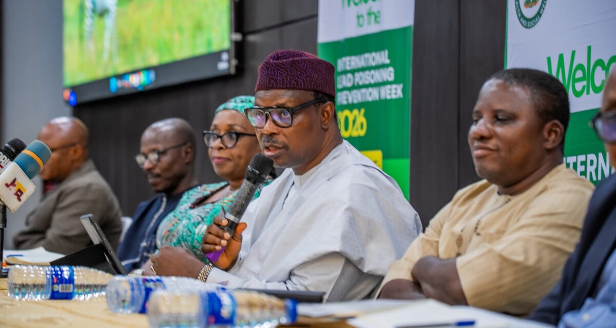 FG launches five-year plan to eliminate lead poisoning