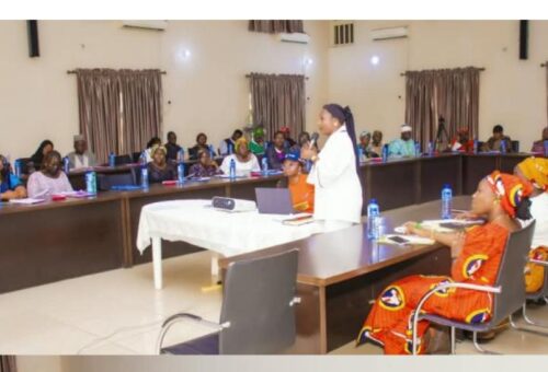 Niger stakeholders reject palace settlements of rape cases, pledge to protect survivors