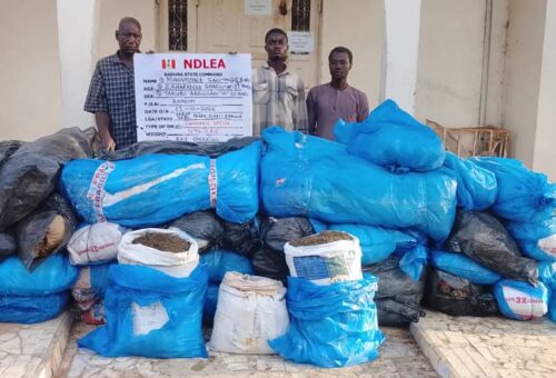 NDLEA intercepts N6.98bn tramadol shipment at Lagos port, arrests suspects across states