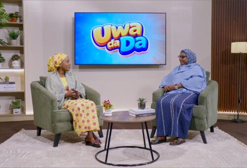 AREWA24 Launches “Uwa Da Da” to Champion Maternal, Newborn Health in Northern Nigeria – THISDAYLIVE