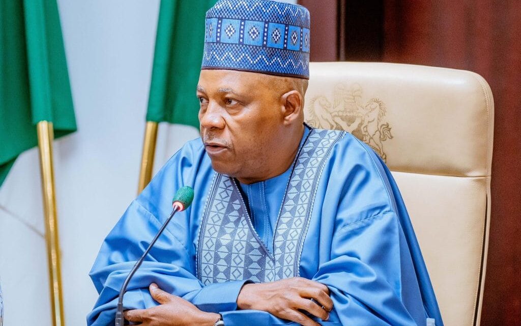Shettima urges states to end dependence on FG for electricity – Daily Trust