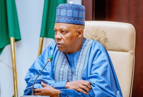 Shettima urges states to end dependence on FG for electricity – Daily Trust