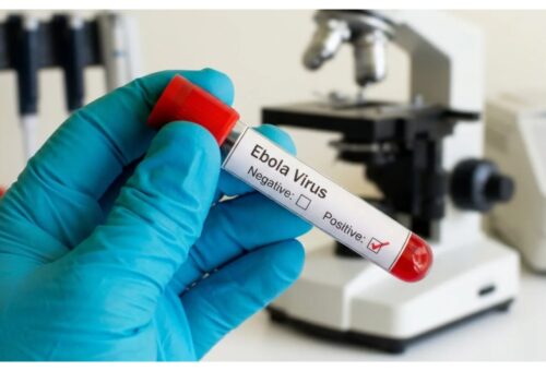 No vaccine for current Ebola outbreak – Africa CDC gives shocking reason