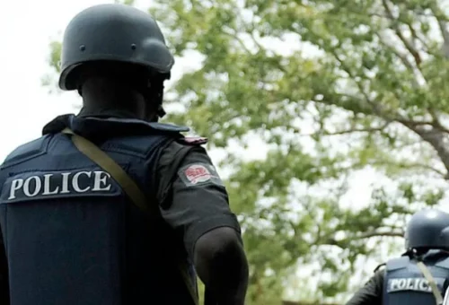 Police Arrest 62-year-old with Gun, Recover Indian Hemp in Delta – Daily Trust
