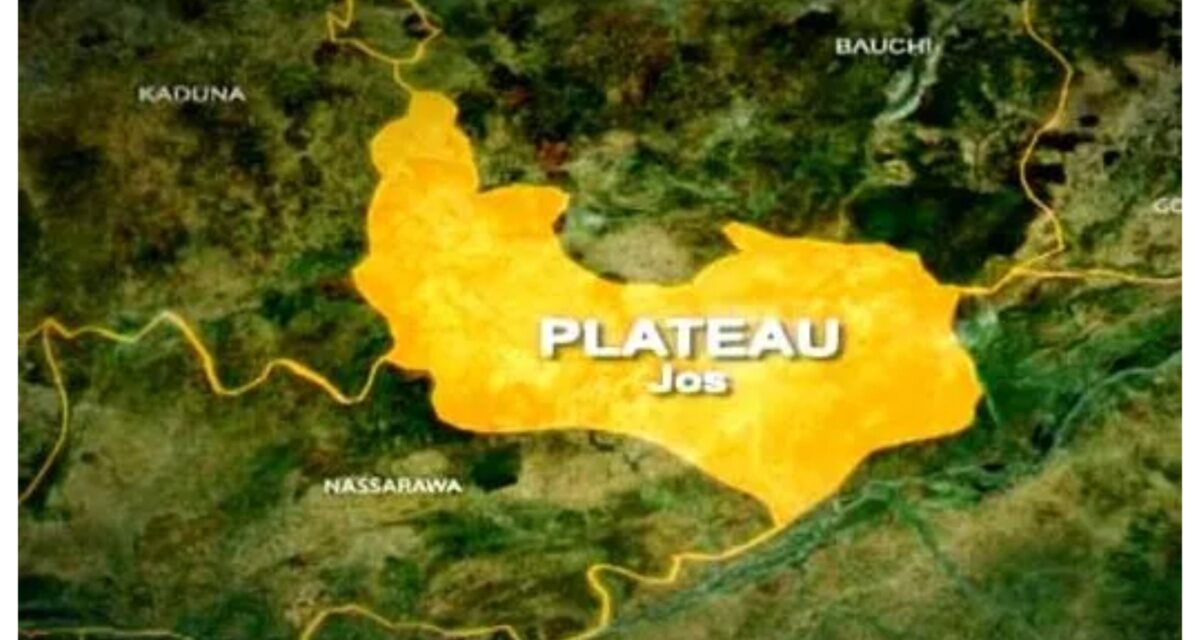 One cow dies in suspected poisoning incident in Plateau