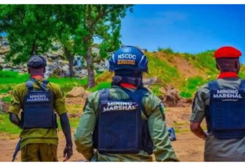 Ministry director accuses mining marshals of assault, detention in Niger