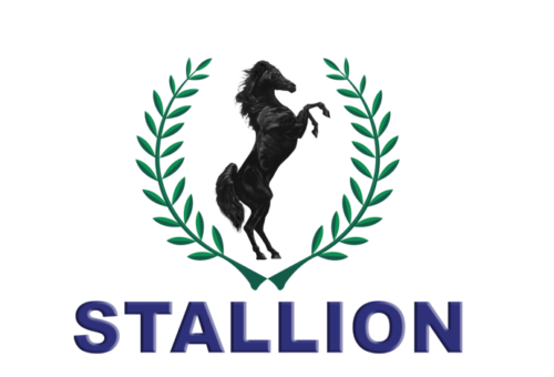 Stallion Group appeals ruling upholding UBA’s appointment of receiver/manager