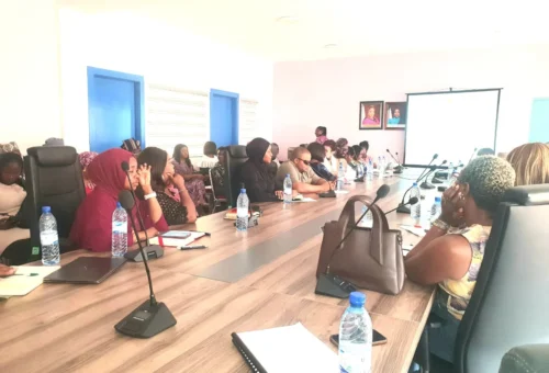 MBNCWD Seeks Partners To Implement Four-year Women’s Development Plan – News Agency Of Nigeria