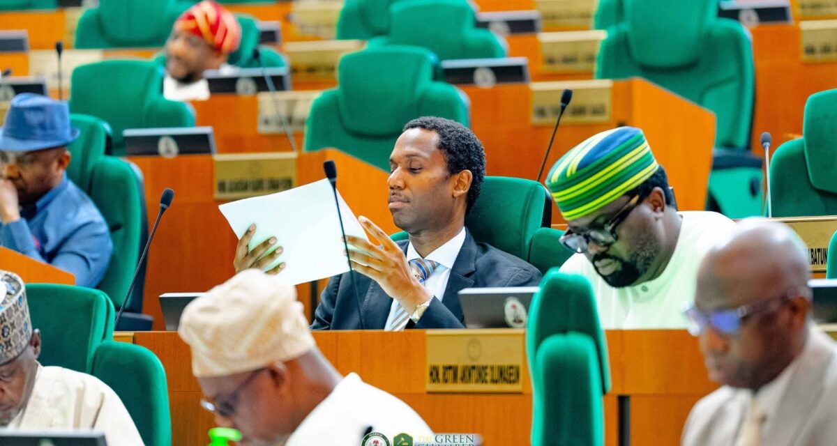 Reps order probe into corps member’s death at NYSC camp