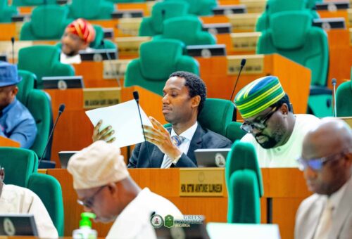 Reps order probe into corps member’s death at NYSC camp