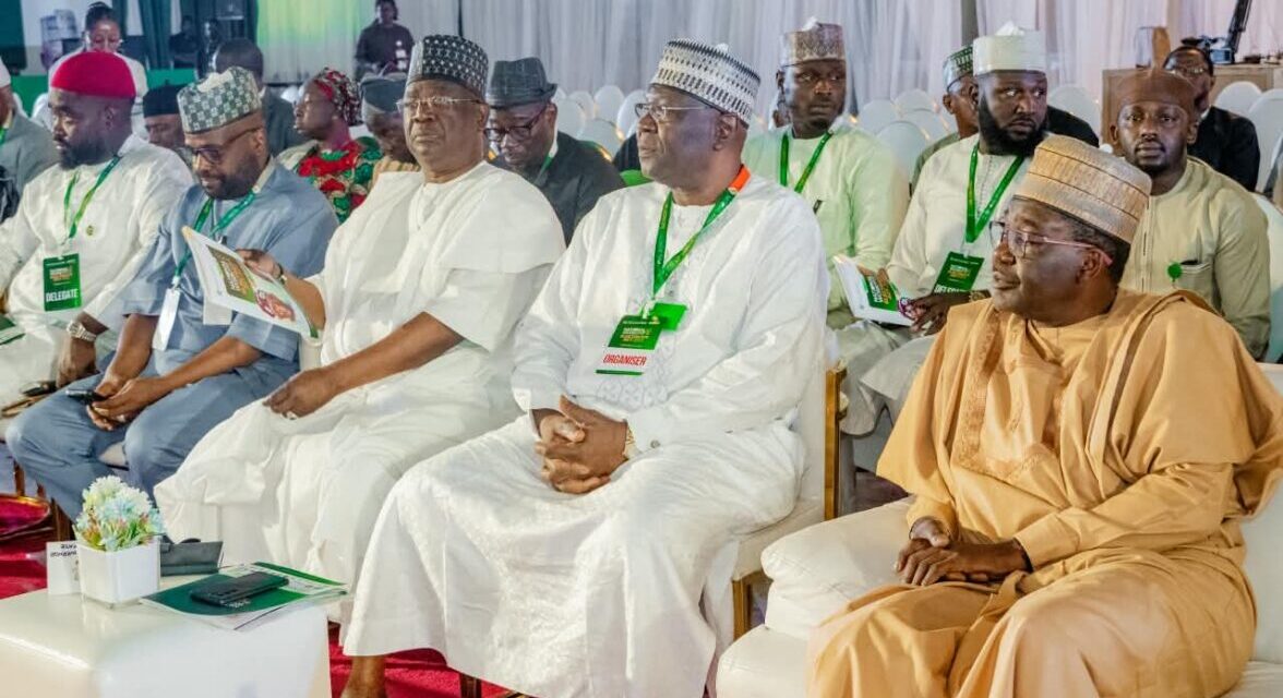 End Reliance On FG, Take Control Of Electricity, Shettima Tells States