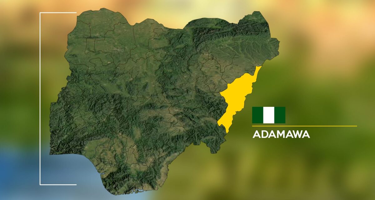 5 security operatives killed as B/Haram attacks Adamawa communities – Daily Trust