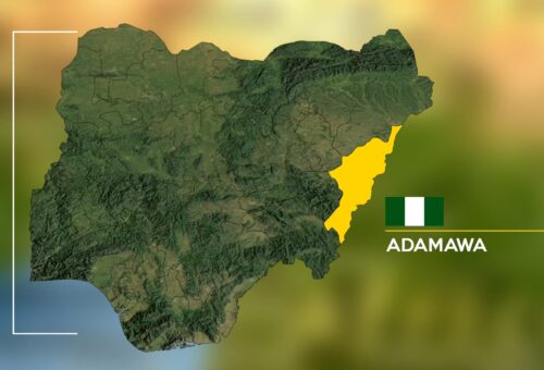 5 security operatives killed as B/Haram attacks Adamawa communities – Daily Trust