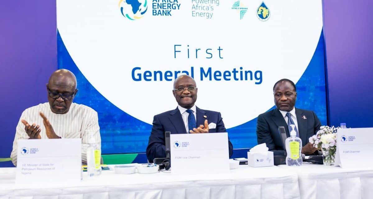 BREAKING: Africa Energy Bank takes off, Egypt’s Helmy Ghazi named pioneer president