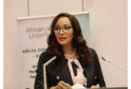 Nigeria calls for total overhaul of AU security framework to tackle terrorism