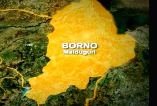 Borno Parents Seek Tinubu’s Intervention As 78 Children, Teacher Remain in Captivity – THISDAYLIVE