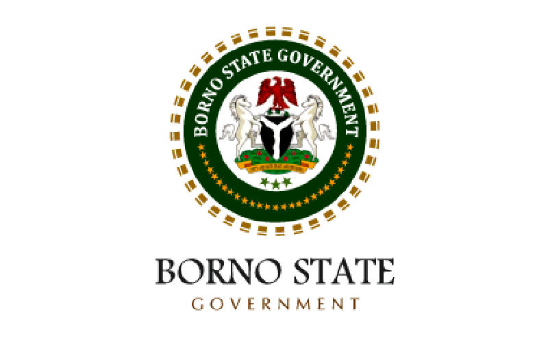 Borno woos private investors to support IDPs’ resettlement – Daily Trust