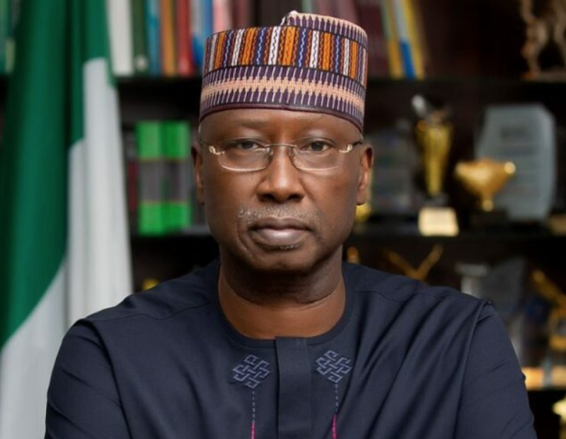 DGs of Parastatals Earn More than Ministers, Permanent Secretaries, Directors Combined, Former SGF Alleges – THISDAYLIVE