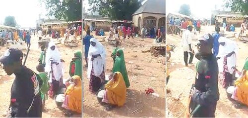 Zamfara community fights back – Daily Trust