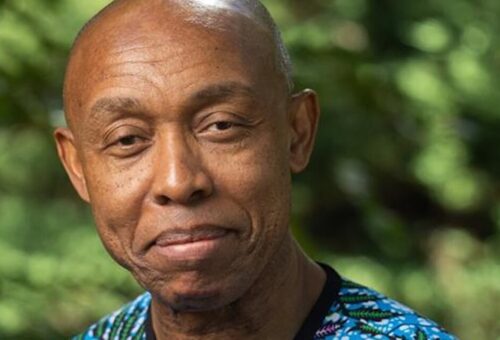 Odinkalu makes inaccurate claim over Tinubu’s APC campaign council appearance; Presidency reacts