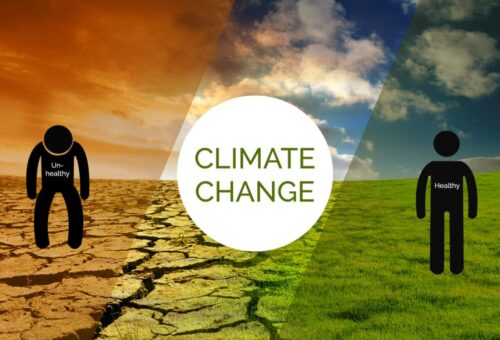 FG Urged To Integrate Climate Change Education Into School Curriculum – Daily Trust