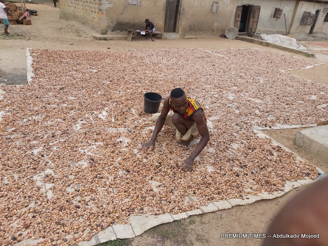 Nigeria’s cocoa exports to US surge to 2m in 2025