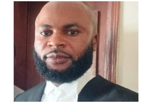 INTERVIEW: Fear of coup should awaken Nigerian leaders – Idam