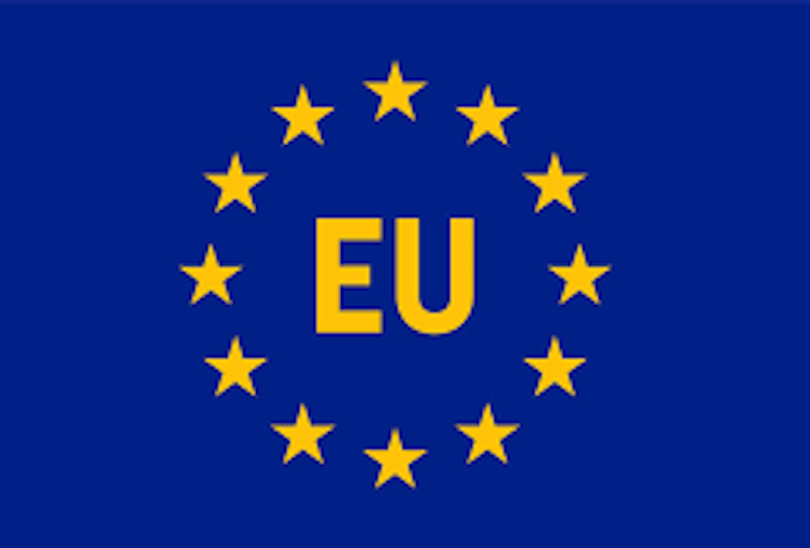 EU Envoy Raises Alarm over 129m Global Out-of-School Girls, 12m Child Marriages Annually – THISDAYLIVE