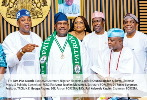A Timely Initiative to Strengthen Tinubu’s Re-election Campaign – THISDAYLIVE