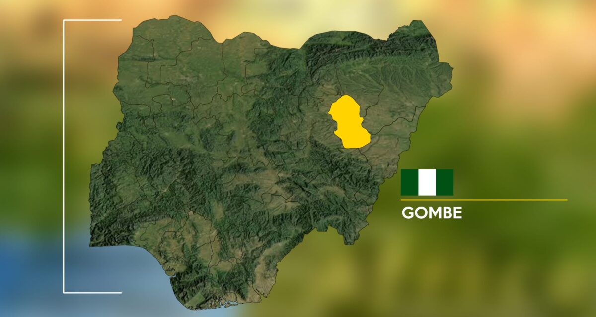 11 killed as trailer rams into vehicles in Gombe  – Daily Trust