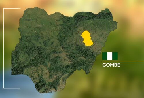 11 killed as trailer rams into vehicles in Gombe  – Daily Trust