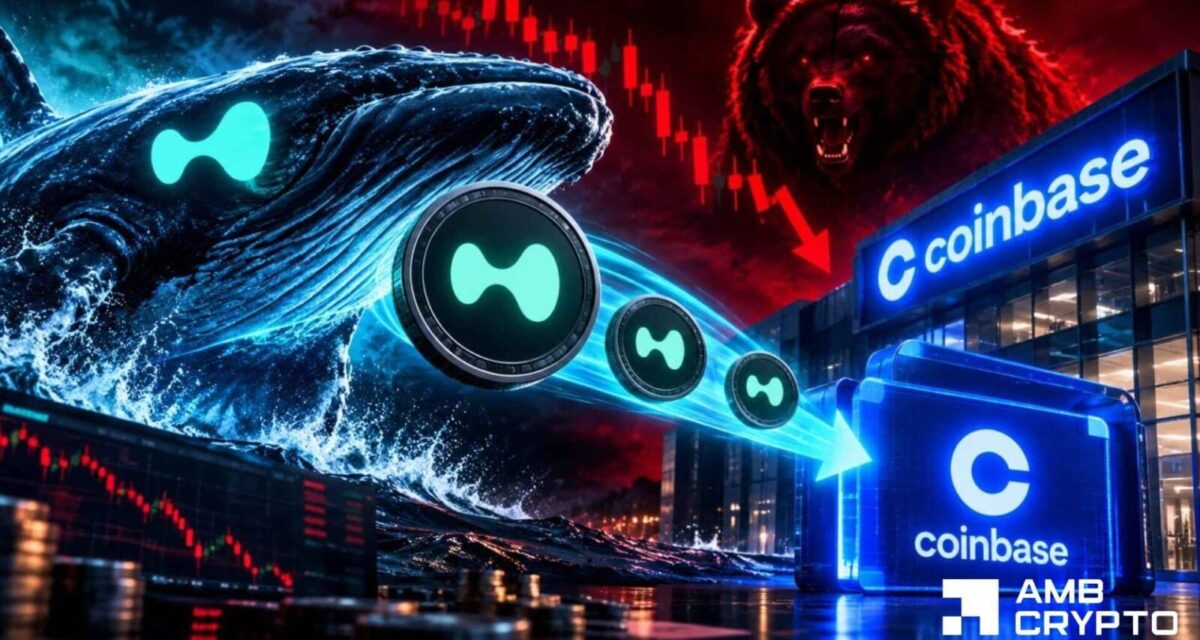 Hyperliquid’s  high to  low: A whale deposit deepens HYPE’s bearish case