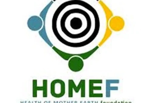 HOMEF Calls for Immediate Shutdown of Hazardous Pipelines – THISDAYLIVE