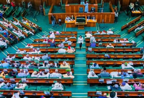 Reps Threaten Arrest Warrant Against Ede Poly Rector, Bursar Over Audit Queries, Contract Irregularities – THISDAYLIVE