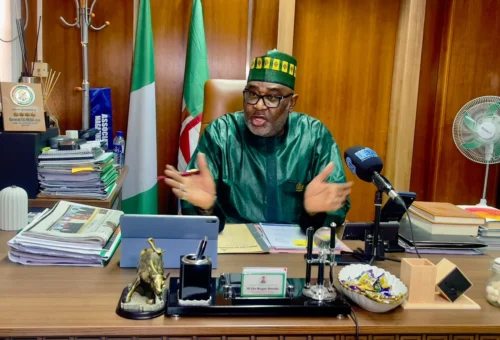 NEDC Delivers 21 Bridges, Roads, Mega Schools, Others In 2 Years