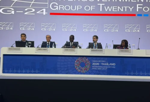 Oyedele Calls For IMF, World Bank Reforms To Boost Developing Economies