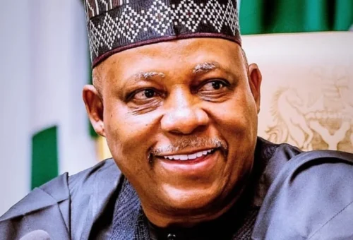 Shettima Urges Statisticians To Strengthen Data-driven Governance
