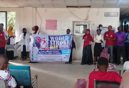 1 In 4 Nigerian Stroke Patients Under 50, Expert Says