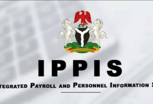 Why we removed universities from recruitment waiver, IPPIS – Daily Trust
