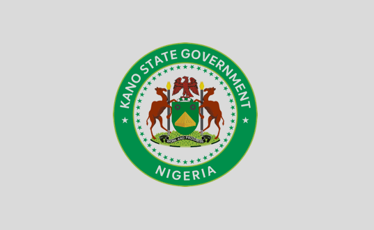 Kano gov’t shuts grain stores over alleged pesticide use – Daily Trust