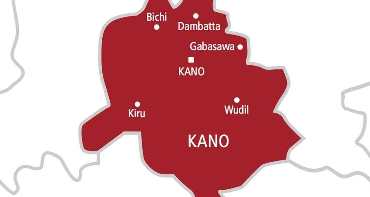 Kano shuts nine private schools over failure to renew registration