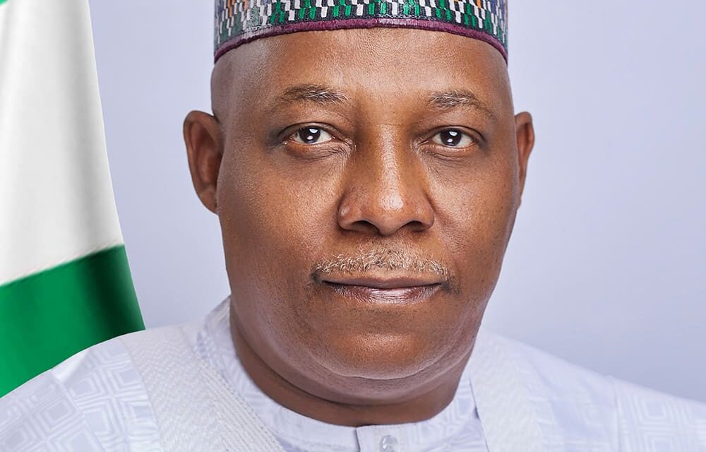 Peter Obi Media Office Faults Shettima Over ‘Diminished Obi’ Remark – THISDAYLIVE