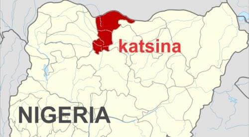 Bandits killed as hunters repel attack in Katsina – Daily Trust