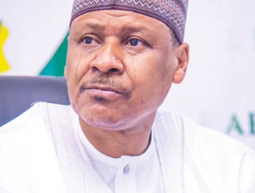 Policy reforms aim for single-digit inflation – Minister – Daily Trust
