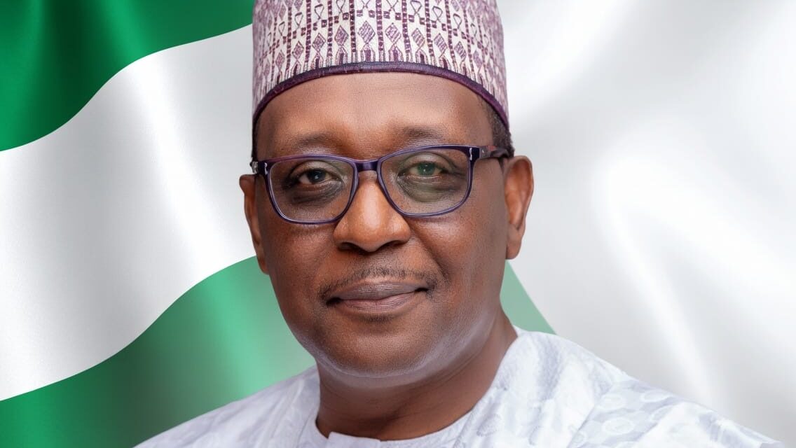 National Sovereignty and Domestic Financing – THISDAYLIVE