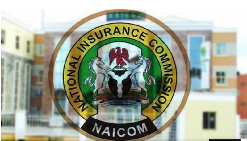 Insurers Tasked on Stronger Institutions, Better Service Delivery – THISDAYLIVE