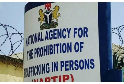 NAPTIP rescues 25 Bauchi indigenes from human trafficking abroad