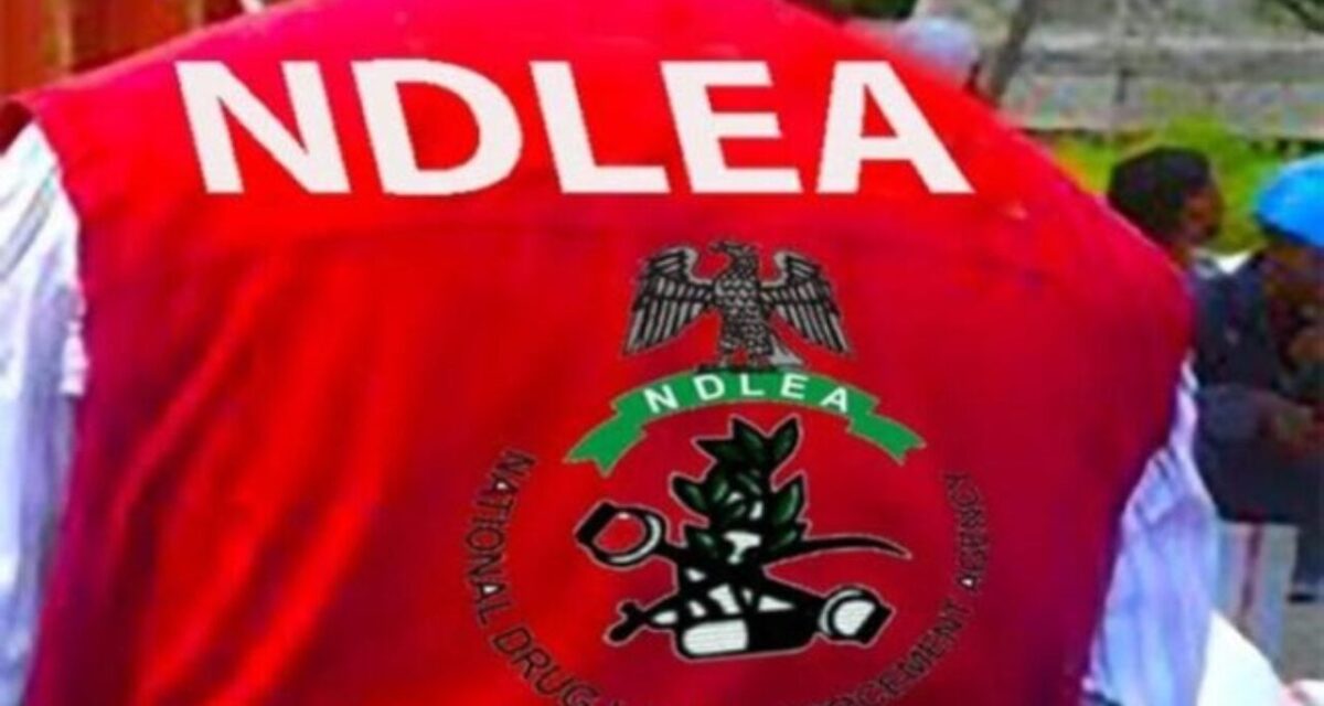 NDLEA arrests 83-year-old grandma with meth, colorado, nabs South African with 32kg cannabis