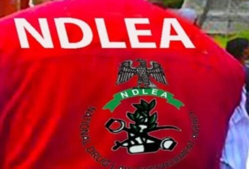 NDLEA arrests 83-year-old grandma with meth, colorado, nabs South African with 32kg cannabis